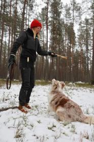 Morakniv Finn BlackBlade (S) Ash Wood Hiking Knife