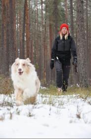 Morakniv Finn BlackBlade (S) Ash Wood Hiking Knife