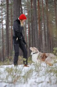 Morakniv Finn BlackBlade (S) Ash Wood Hiking Knife