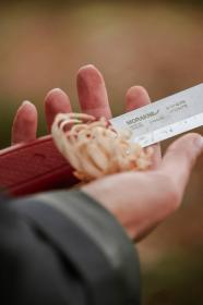 Morakniv Garberg (S) Dala Red Edition