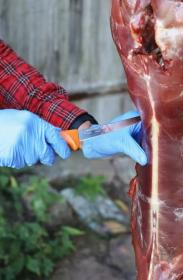 Morakniv Hunting (S) Narrow Boning 134mm vykosťovací nůž