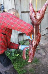 Morakniv Hunting (S) Narrow Boning 134mm vykosťovací nůž