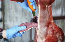 Morakniv Hunting (S) Narrow Boning 134mm vykosťovací nůž