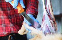 Morakniv Hunting (S) Skinning 146mm stahovací nůž