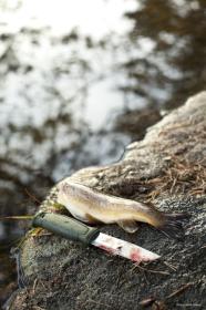 Morakniv Kansbol (S) Survival Kit Green