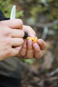 Morakniv Karl-Johan Black houbařský nůž