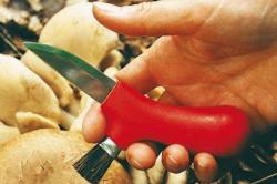 Morakniv Karl-Johan Black houbařský nůž