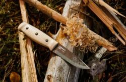 Morakniv Lok BlackBlade (S) Ash Wood Wilderness Knife