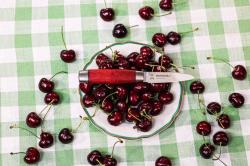 Morakniv Paring Knife Classic 1891 (S) zeleninový nůž 14417