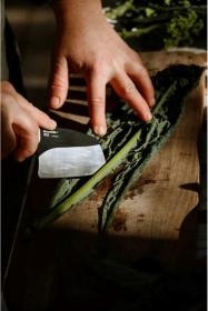 Morakniv Rombo BlackBlade (S) Ash Wood Outdoor Cooking Knife