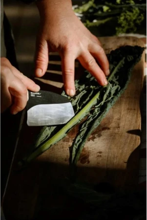 Morakniv Rombo BlackBlade (S) Ash Wood Outdoor Cooking Knife