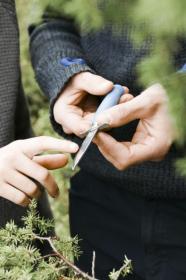 Morakniv Scout 39 (S) Blueberry