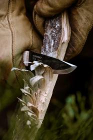 Morakniv Wit BlackBlade (S) Ash Wood Bushcraft Knife