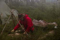 Morakniv Wit BlackBlade (S) Ash Wood Bushcraft Knife