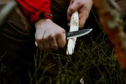 Morakniv Wit BlackBlade (S) Ash Wood Bushcraft Knife