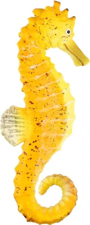 Morský koník 8cm zvieratko plastová figúrka Zooted
