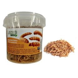 Mouční červi JUKO, dóza 500 ml ( 80g ) Mouční červi JUKO, dóza 500 ml ( 80g )