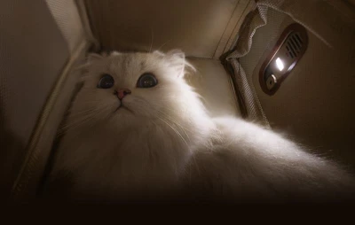 Mova Cestovní batoh PB10 Pro Pet