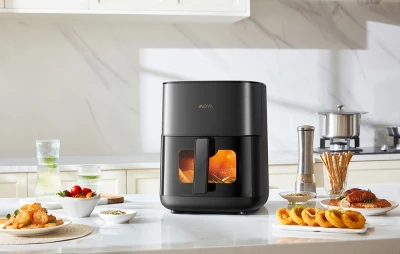 Mova Fritéza FD10s Pro (černá)