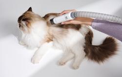 Mova G1 pro Pet Trimmer