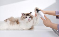 Mova G1 pro Pet Trimmer