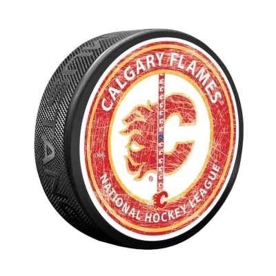 Mustang Fanouškovský puk NHL Center Ice Puck