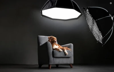 Neewer Softbox 90 cm