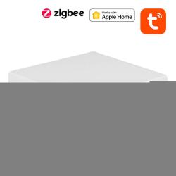 Neo Chytrá brána ZigBee Matter NAS-ZW06WM TUYA
