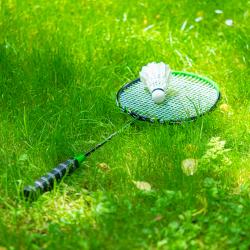 NILS Bedmintonová raketa NR205