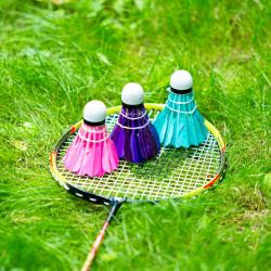 NILS Badmintonové míčky z peří NBL6213 multicolor 3 ks