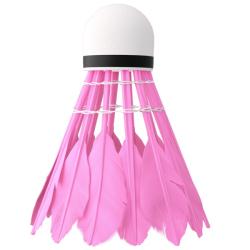 NILS Badmintonové míčky z peří NBL6216 multicolor 6 ks