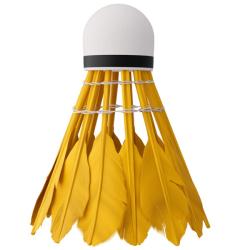 NILS Badmintonové míčky z peří NBL6216 multicolor 6 ks