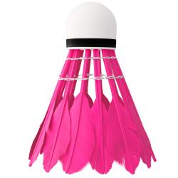 NILS Bedmintonové loptičky z peria NBL6216 multicolor 6 ks