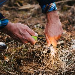 Nils Křesadlo Camp NC1794