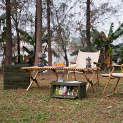 Nils Skladací box s vekom Camp NCB4004 50L zelený