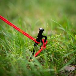 Nils Camp NC1727 stanové kolíky