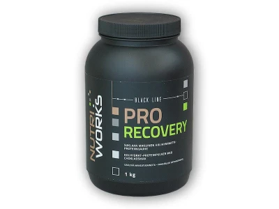 Nutri Works Pro Recovery 1000g Nutri Works Pro Recovery 1000g