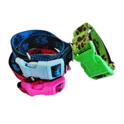 Obojek popruh 38 - 58 x 2,5 cm Obojek popruh 38 - 58 x 2,5 cm