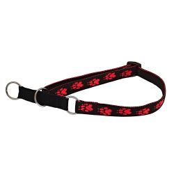 Obojek popruh polostahovací 40 - 70 x 2,5 cm Obojek popruh polostahovací 40 - 70 x 2,5 cm