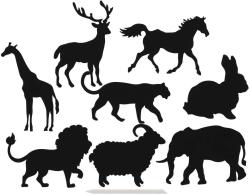 Obrázek škrabací duhový výřez zvířata set 8ks s nástrojem