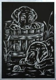 Obrázek škrabací stříbrný zvířátka A5 set s nástrojem různé druhy