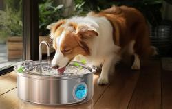 Oneisall Inteligentní fontána/napáječka pro domácí mazlíčky PWF-002 o objemu 7 l