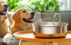 Oneisall Inteligentní fontána/napáječka pro domácí mazlíčky PWF-002 o objemu 7 l