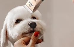 Oneisall Trimmer / zastřihovač zvířat X2