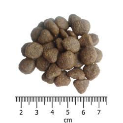 OPTIMAnova Cat Salmon Potato GF 2 kg