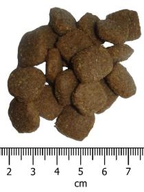 OPTIMAnova Dog Adult Active 12 kg