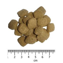 OPTIMAnova Dog Obesity Chicken Rice 12 kg