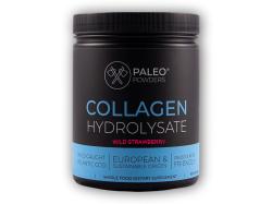 Paleo Powders Kolagen z divokých ryb 500g (natural jahoda + vitamin C) Paleo Powders Kolagen z divokých ryb 500g (natural jahoda + vitamin C)