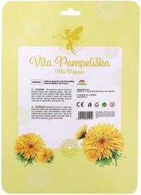 Panenka soft hadrová víla Pampeliška 40cm látková měkké tělo s křídly