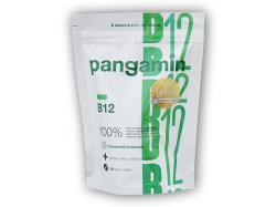 Pangamin B12 sáčok 200 tabliet Pangamin B12 sáčok 200 tabliet